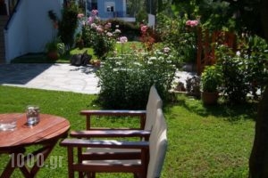 Studios Anemos_best prices_in_Hotel_Aegean Islands_Thasos_Thasos Chora