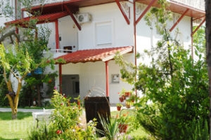 Anastasia_best prices_in_Apartment_Macedonia_Halkidiki_Fourka