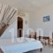 Alex Hotel_best prices_in_Hotel_Cyclades Islands_Mykonos_Mykonos ora