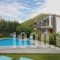 Manolioudis Villas_best deals_Villa_Crete_Rethymnon_Mylopotamos