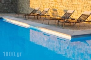 Elafivolia Arachova Suites_best prices_in_Hotel_Central Greece_Viotia_Arachova