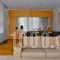 Elafivolia Arachova Suites_best deals_Hotel_Central Greece_Viotia_Arachova