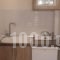 Studio Xanthi_best deals_Hotel_Aegean Islands_Thassos_Thassos Chora