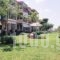 Stella-Meri Studios Apartments_best deals_Apartment_Macedonia_Halkidiki_Nea Skioni