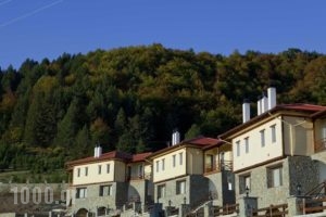 Pindos Palace_best deals_Hotel_Macedonia_Grevena_Lavdas