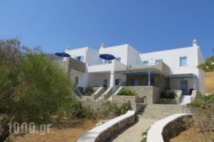 Medusa Rooms & Apartments_best deals_Apartment_Cyclades Islands_Serifos_Livadi