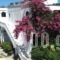 Rosmari Hotel_best deals_Hotel_Dodekanessos Islands_Rhodes_Rhodes Rest Areas