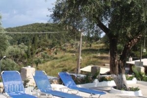 Korina Studios_holidays_in_Hotel_Ionian Islands_Corfu_Corfu Rest Areas