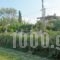 Repo Studio_best deals_Apartment_Central Greece_Fokida_Chiliadou