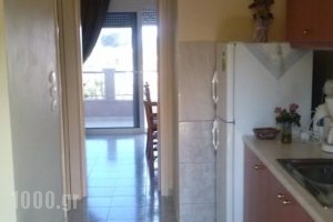 Pasalis Apartments_holidays_in_Apartment_Dodekanessos Islands_Rhodes_kiotari