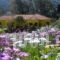 Countryside Studios_accommodation_in_Hotel_Ionian Islands_Kefalonia_Kefalonia'st Areas