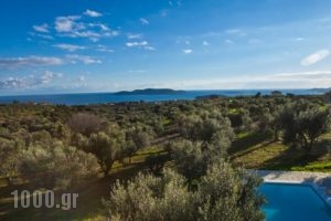 Abelia Luxurious Villas_best deals_Villa_Thessaly_Magnesia_Pilio Area