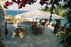 Oasis Azolimnos_travel_packages_in_Cyclades Islands_Syros_Azolimnos