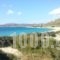 Isalos Studios_accommodation_in_Hotel_Cyclades Islands_Naxos_Mikri Vigla