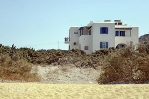 Isalos Studios_best prices_in_Hotel_Cyclades Islands_Naxos_Mikri Vigla