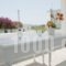 Yiannis Studios_best deals_Hotel_Cyclades Islands_Paros_Piso Livadi