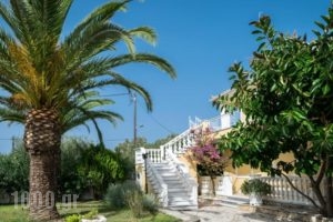 Mentikas Studios_travel_packages_in_Ionian Islands_Zakinthos_Laganas