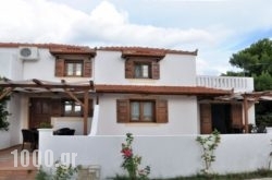 Kamelia Villas in , , 