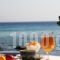 Hotel Avlakia_best prices_in_Hotel_Aegean Islands_Samos_Samosst Areas