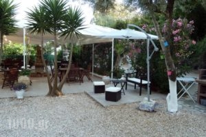 Oceanis Rooms_best prices_in_Room_Ionian Islands_Kefalonia_Fiskardo