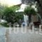 Oceanis Rooms_accommodation_in_Room_Ionian Islands_Kefalonia_Fiskardo