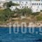 Hippocampus Hotel_accommodation_in_Hotel_Cyclades Islands_Paros_Paros Chora