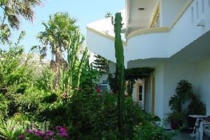 Afendoulis_holidays_in_Hotel_Dodekanessos Islands_Kos_Kos Chora