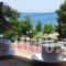 Studios And Apartmentsmeri_accommodation_in_Apartment_Sporades Islands_Skopelos_Skopelos Chora