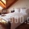 Xenonas Doma_lowest prices_in_Hotel_Central Greece_Viotia_Arachova