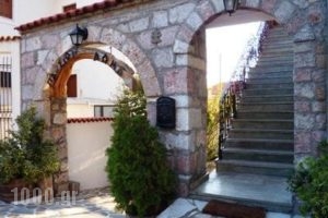 Xenonas Doma_holidays_in_Hotel_Central Greece_Viotia_Arachova