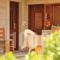 Holiday Home Astros Peloponnese_travel_packages_in_Peloponesse_Arcadia_Astros