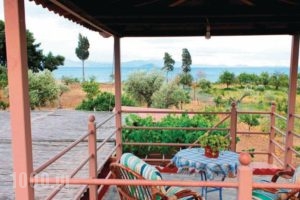 Holiday Home Astros Peloponnese_holidays_in_Hotel_Peloponesse_Arcadia_Astros