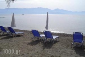 Alexandros Apartments_travel_packages_in_Peloponesse_Messinia_Petalidi