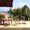 Alexandros Apartments_accommodation_in_Apartment_Peloponesse_Messinia_Petalidi