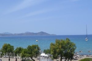 Diamond Deluxe Hotel - Adults Only_travel_packages_in_Dodekanessos Islands_Kos_Kos Rest Areas