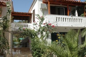 Albatross_accommodation_in_Hotel_Aegean Islands_Samos_Kambos