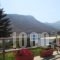 Flora's Apartments_best deals_Apartment_Cyclades Islands_Naxos_Apollonas