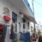 Delphines_travel_packages_in_Cyclades Islands_Mykonos_Mykonos Chora