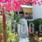 Papachrysanthou Apartments_best deals_Apartment_Peloponesse_Ilia_Arkoudi