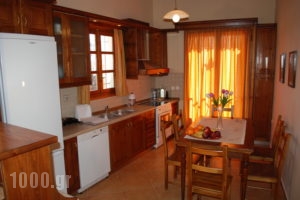 Olive Villas_holidays_in_Villa_Crete_Chania_Kolympari