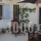 Meltemia_best prices_in_Apartment_Aegean Islands_Samos_Kambos